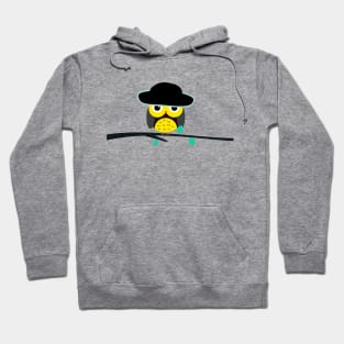 Cute and cool owl Hoodie